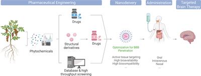 The Phytochemical Potential for Brain Disease Therapy and the Possible Nanodelivery Solutions for Brain Access